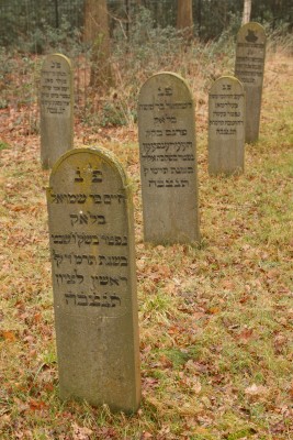 Tracing your Jewish Genealogy Family Tree