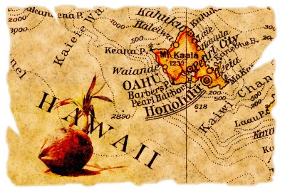 Genealogy and Politics Don’t Mix