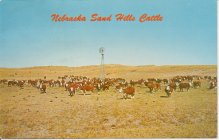 Nebraska’s Diversity Makes Genealogy Research Interesting