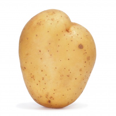 You Say Potato, I Say Potahto – You Say Ancestry Research, I Say Genealogy Research. Let’s Call the Whole Thing On