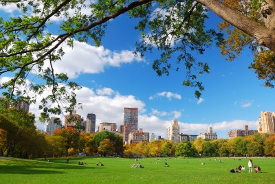 Certified Genealogist Shares New York Genealogy Research Tips