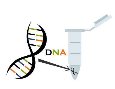 A Genealogist and DNA – A Great Pairing for Research