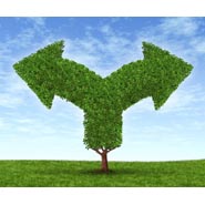 A Genealogy Dilemma: Public vs. Private