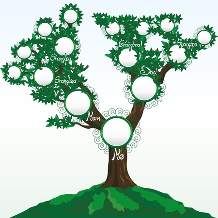 Are Super-sized Family Trees the Work of a Genealogy Researcher or a Computer?