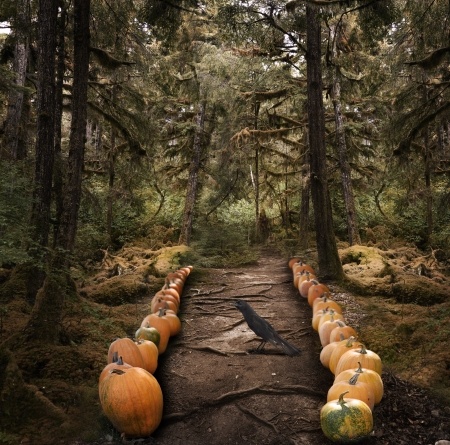The Genealogist Knows That When the Frost Is On The Punpkin’, It’s Time For Genealogy…