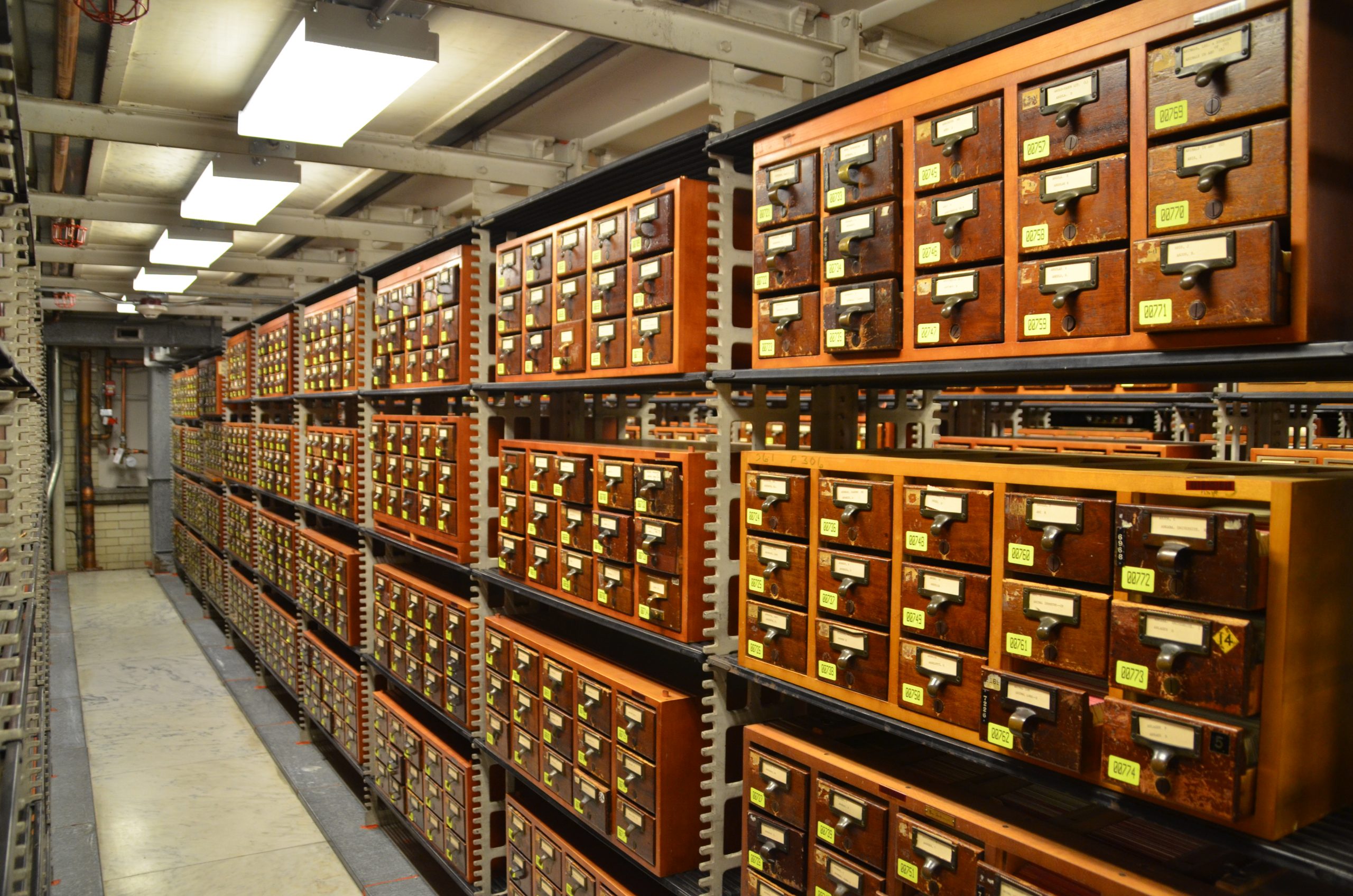 Library-of-Congress-bookshelves-1