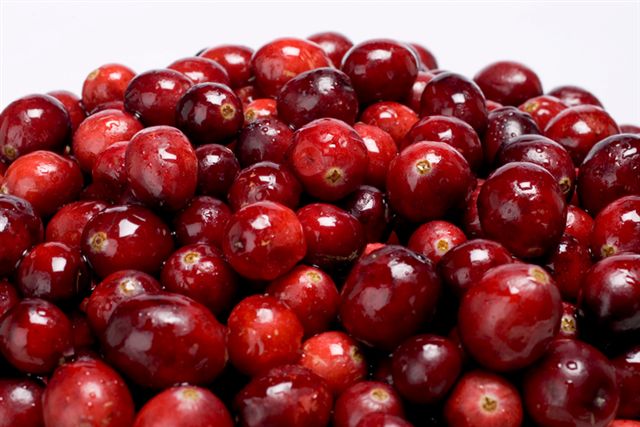 Our genealogy researcher sees cranberries in the same light as an ancestor search.