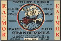 Cranberries Didn’t Get Bogged Down in Limited Lineage, Notes this Genealogy Researcher
