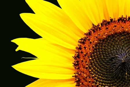 A Genealogy Researcher Finds Relative Late Bloomers
