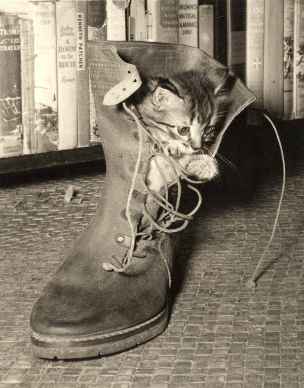 A Genealogist Hunts: Finds Ernest Hemingway in Unusual Places