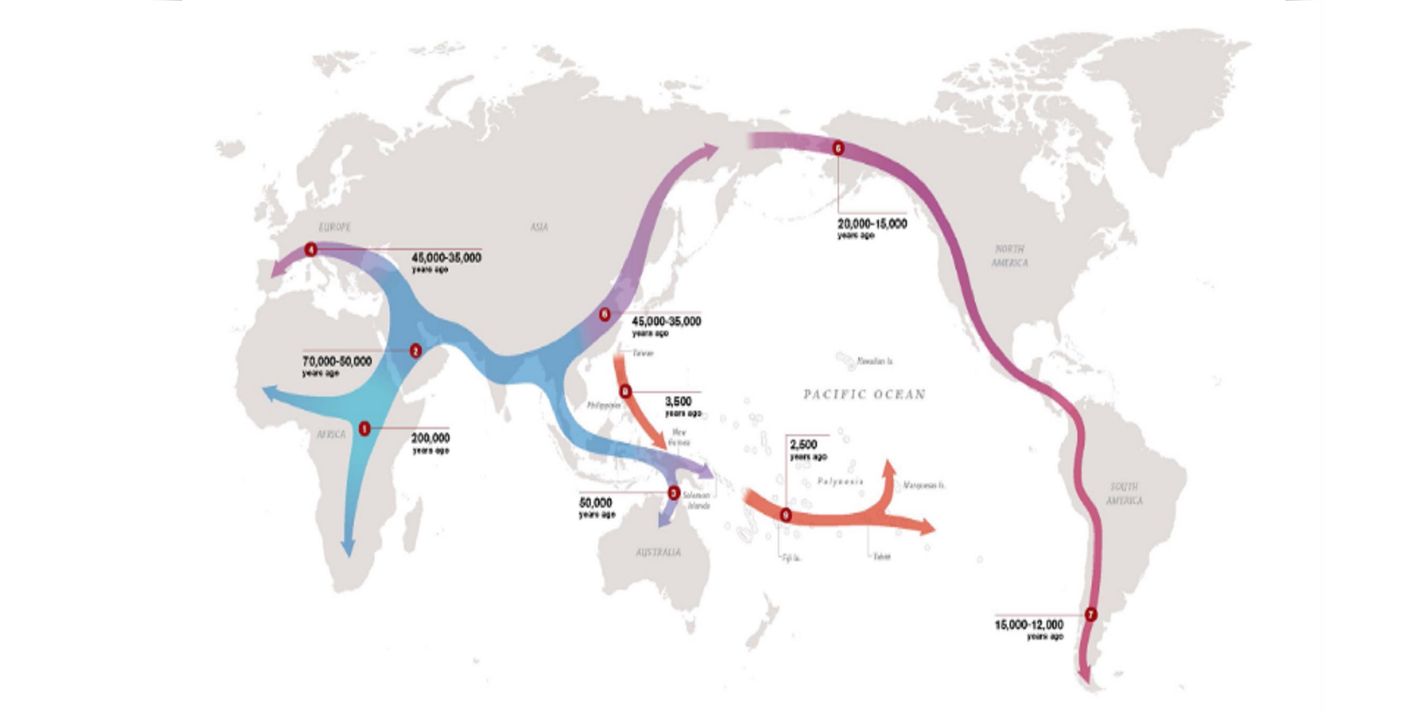 Ancestry Migration Patterns: How To Trace Your Roots