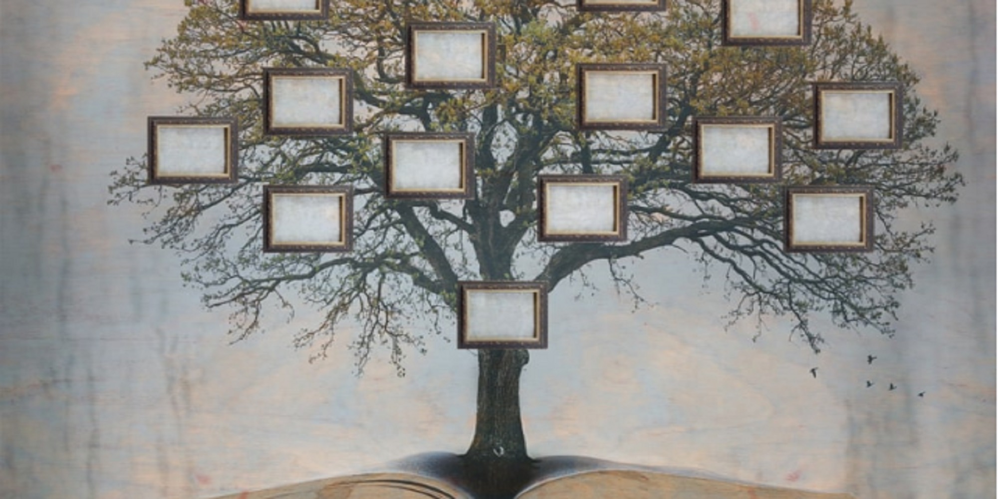 A blank family tree
